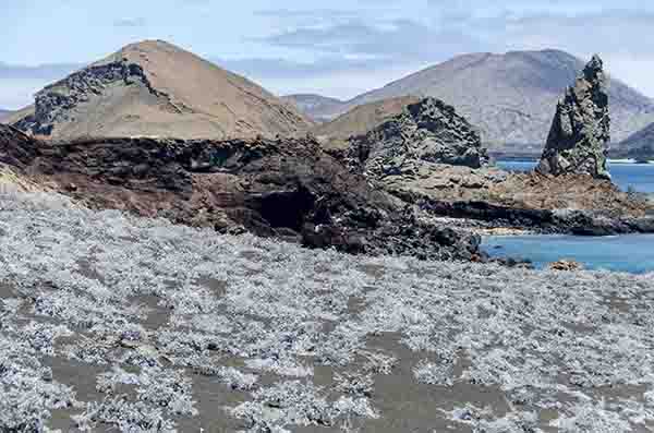 07 - Ecuador - islas Galapagos - isla Bartolome